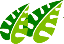 Jungle Leaf PNG