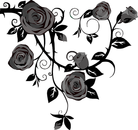 Drawing Of Roses PNG