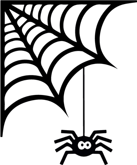 Spider Web PNG
