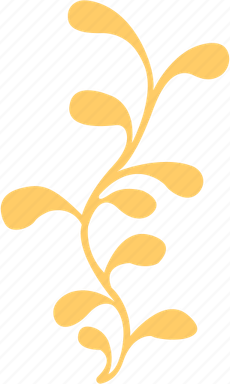 Algas PNG