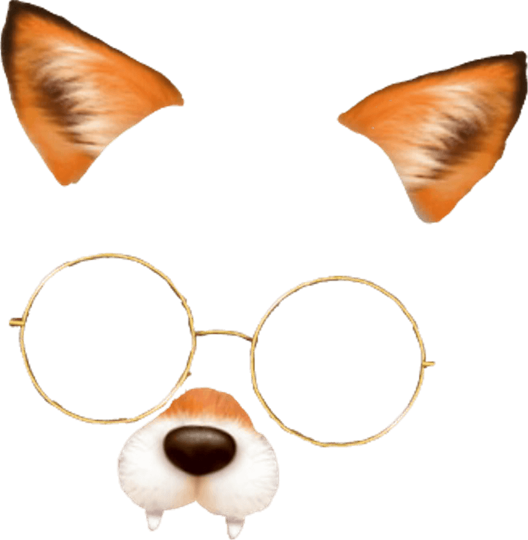 Snapchat Filter Dog PNG