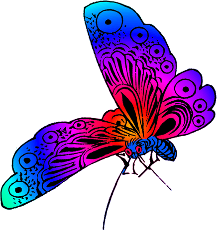 Butterfly Art PNG