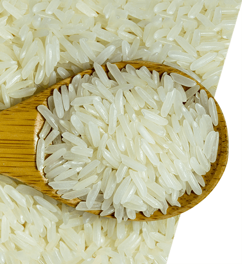 Rice PNG