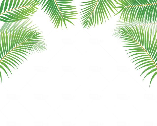 Leaves Border PNG