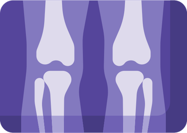 X Ray PNG