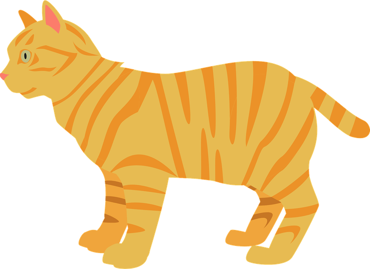 Ginger Tabby Cat PNG