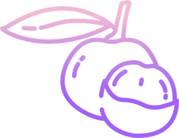 Longan PNG
