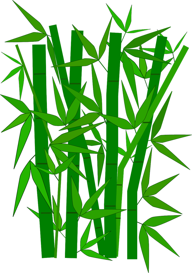 Bamboo Tree PNG