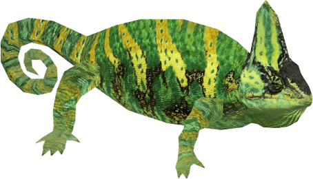 Chameleon PNG