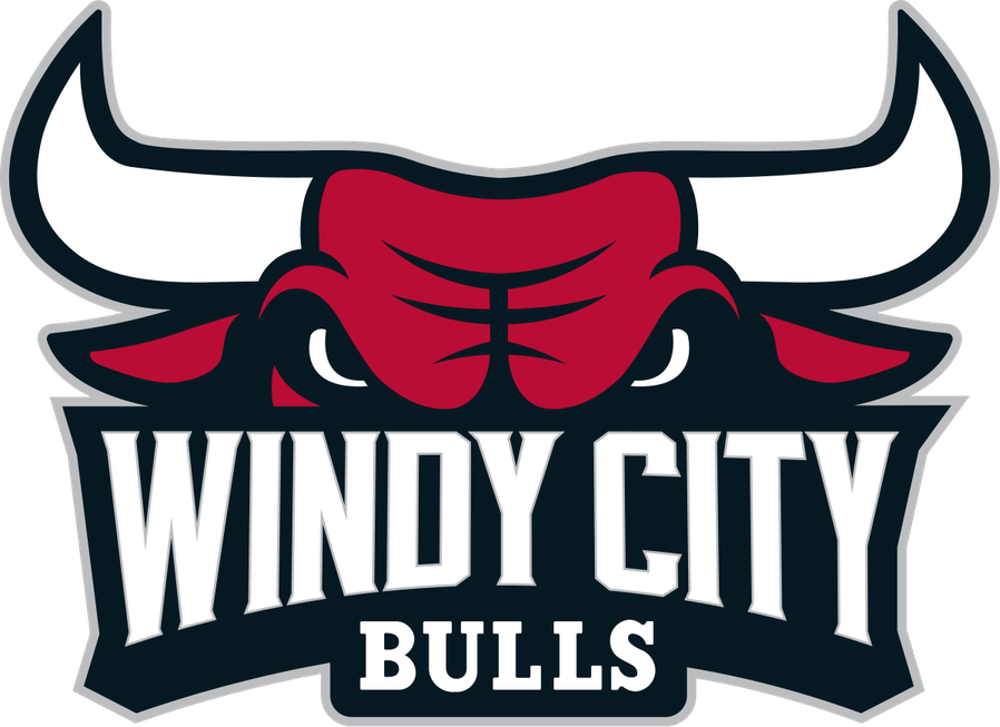 Bulls Logo PNG