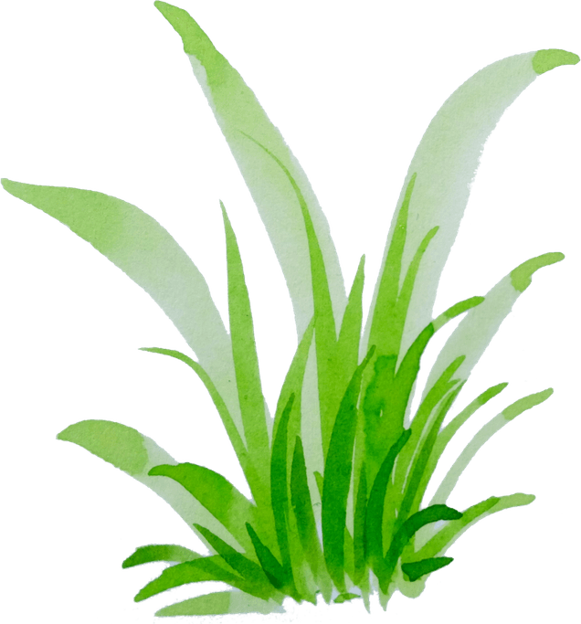 Watercolor Grass PNG