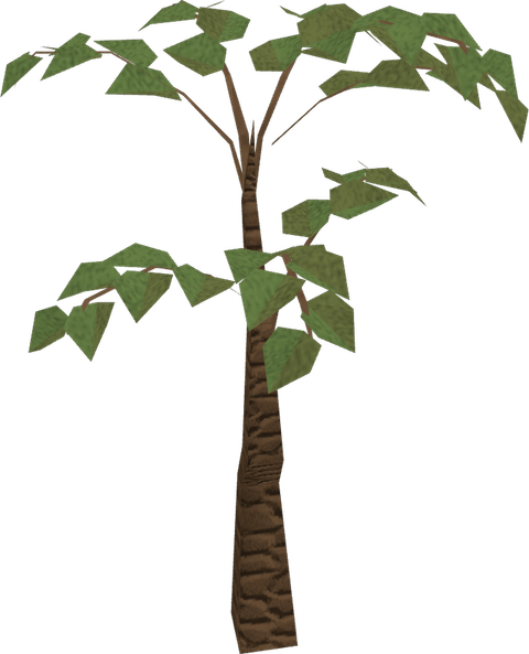 Jungle Tree PNG