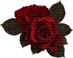 Gothic Flower PNG
