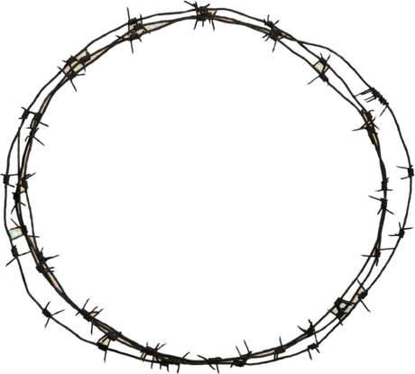 Barbwire PNG
