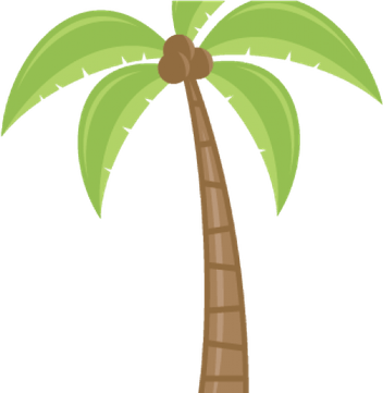 Palm Tree Cartoon PNG