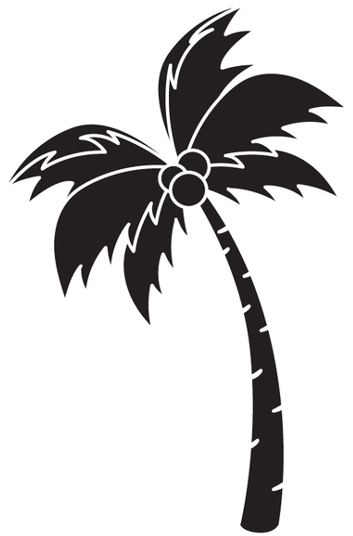 Palm Tree Black And White PNG