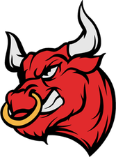 Bulls Logo PNG