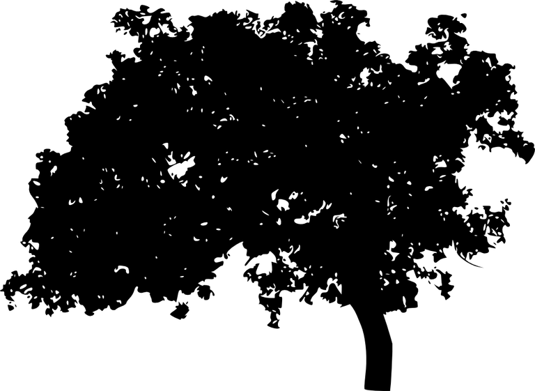 Anime Tree PNG