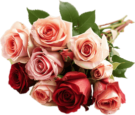 Rose Wedding PNG