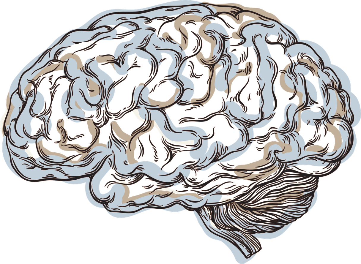 Stress Brain PNG
