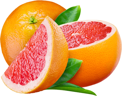 Grapefruit PNG