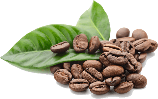 Coffee Beans PNG