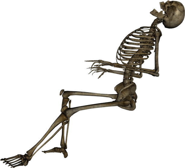 Skeleton PNG