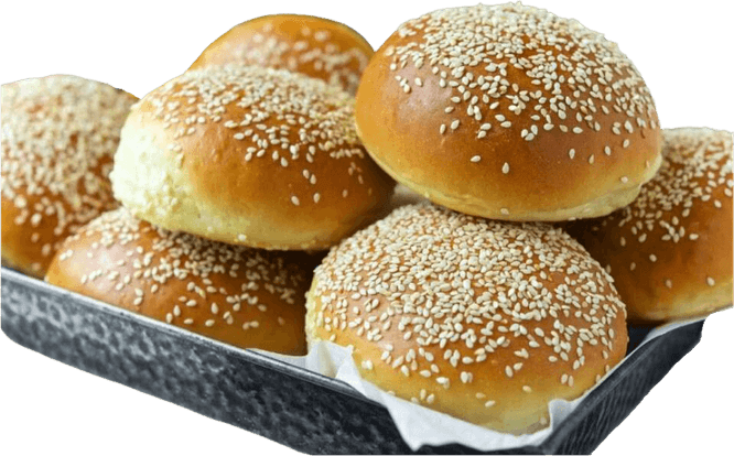 Healthy Burger PNG