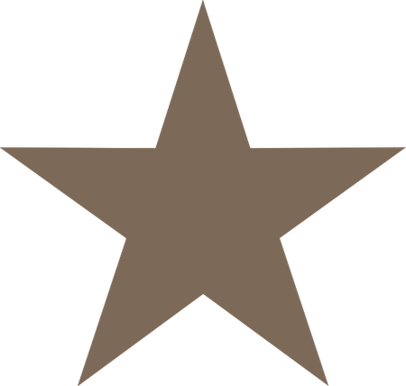 Brown Star PNG