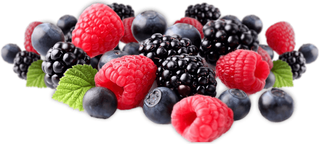 Berry PNG