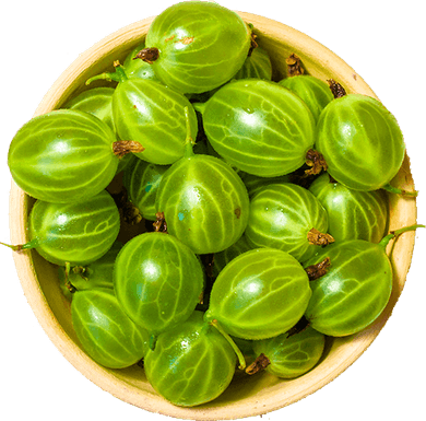Indian Gooseberry PNG
