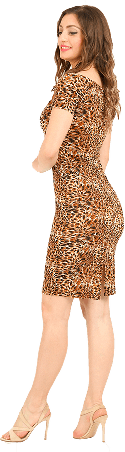 Animal Print Dress PNG