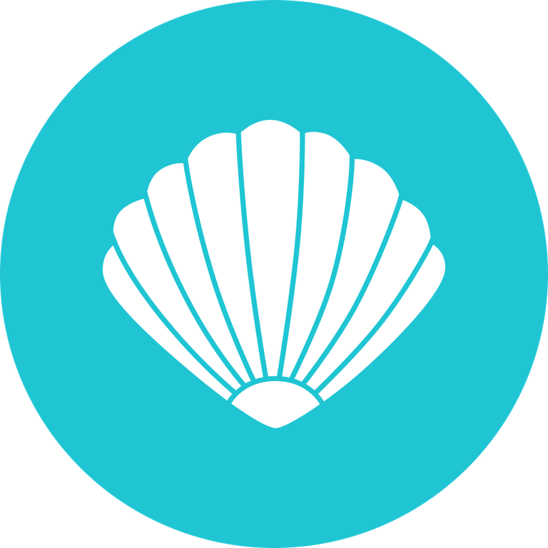 Clams PNG