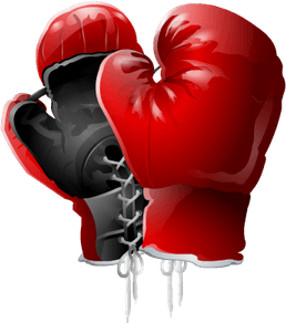 Boxing Gloves PNG