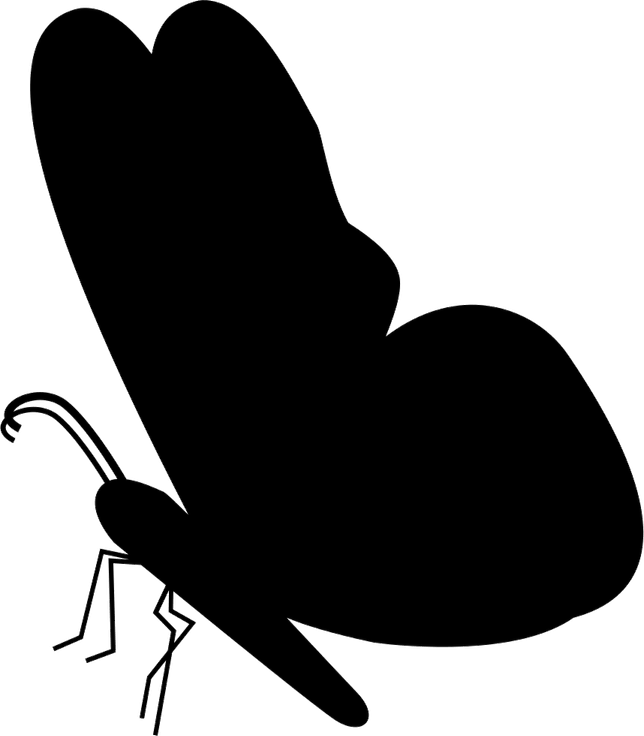 Butterfly Black And White PNG