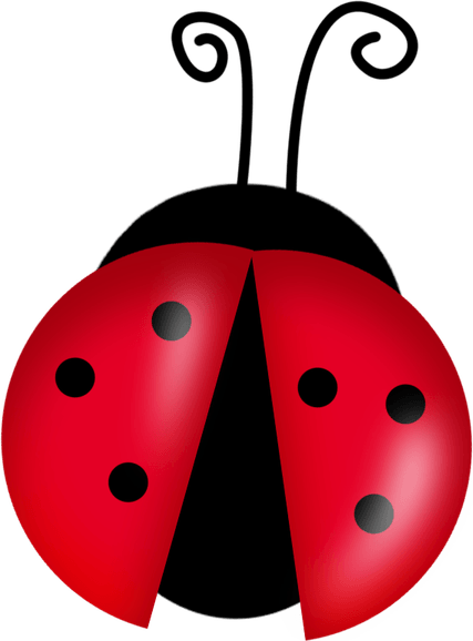 Cute Insect PNG