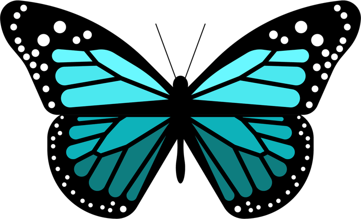 Butterfly Animation PNG