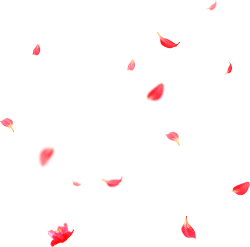 Falling PNG