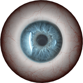 3d Eyeball PNG