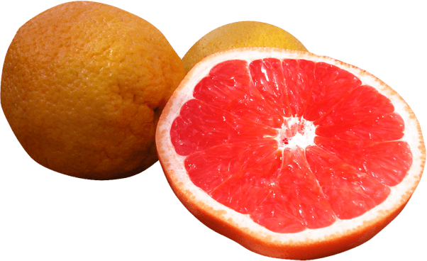 Grapefruit PNG