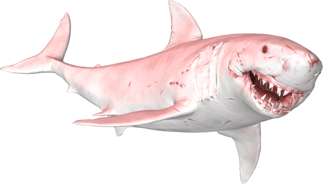 Megalodon PNG