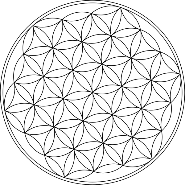 Flower Of Life PNG