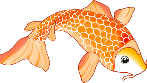 Koi Fish PNG
