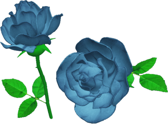 Blue Rose PNG