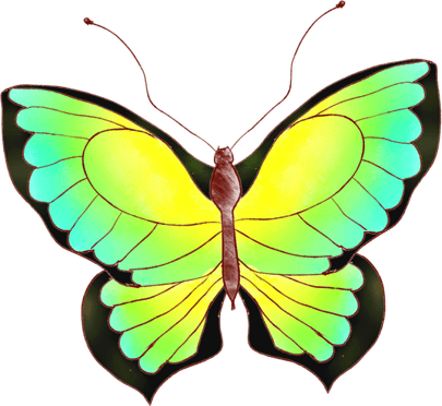 Colorful Butterfly PNG