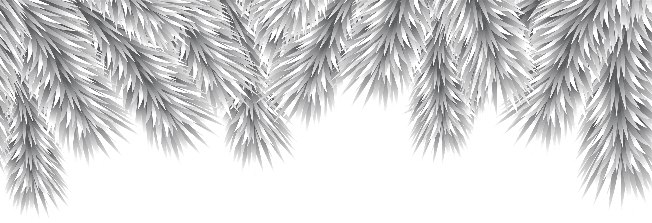 Christmas Branches PNG