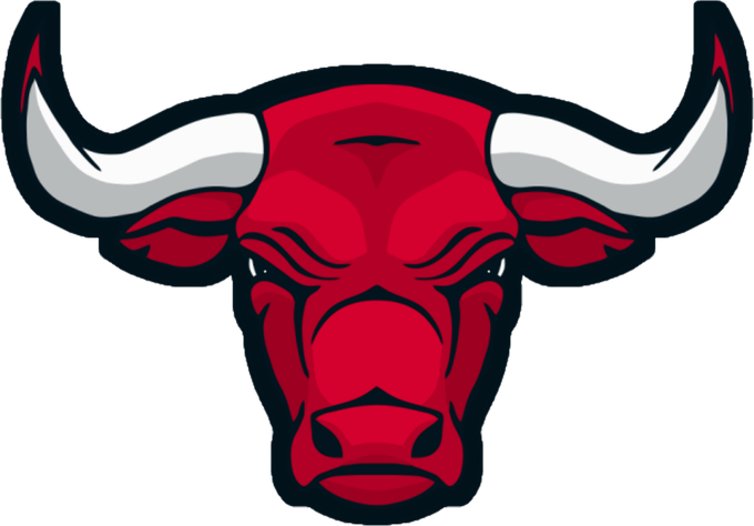 Chicago Bulls Logo PNG