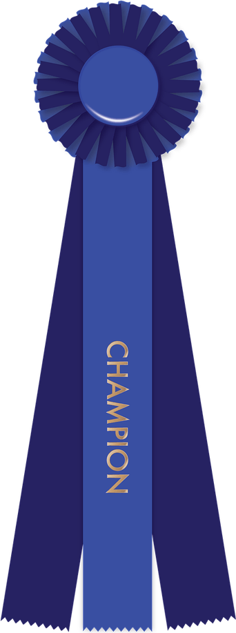 Blue Ribbon PNG
