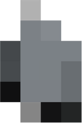 Censored Blur PNG