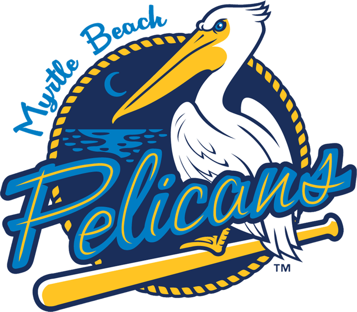 Myrtle Beach Pelicans PNG